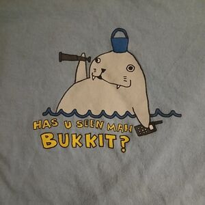 Vtg 2000s lolrus meme fitted t-shirt